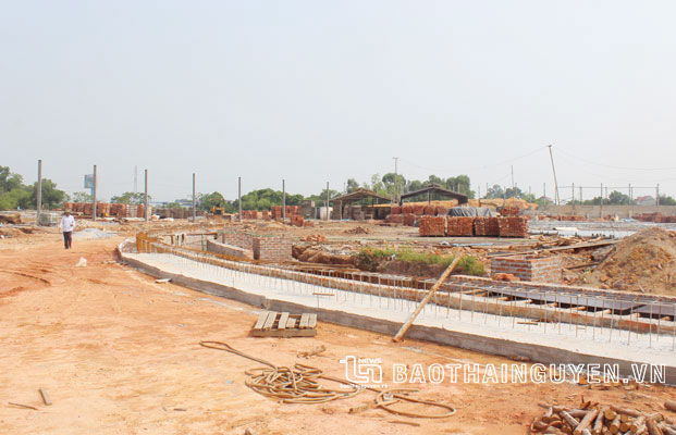 Báo động doanh nghiệp nợ thuế, bảo hiểm