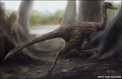 Phát hiện hóa thạch loài khủng long nhỏ nhất thế giới