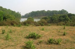 Đã có quy chế mẫu về quản lý, sử dụng quỹ phát triển đất