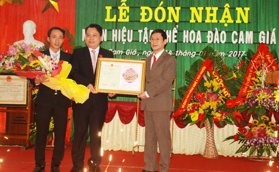 Đón nhận Nhãn hiệu tập thể Hoa đào Cam Giá