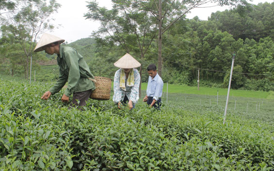 Ghi ở một Làng nghề truyền thống tiêu biểu cấp tỉnh