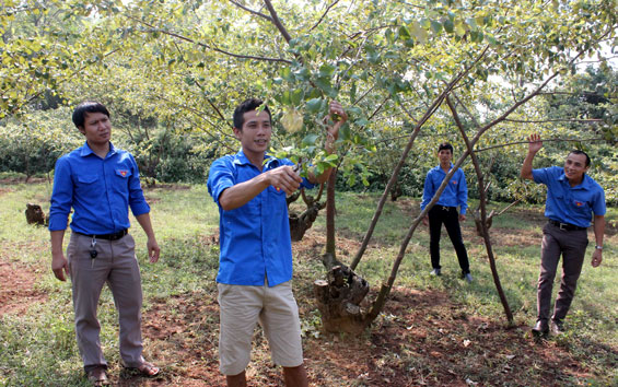 Phát huy vai trò xung kích của tuổi trẻ