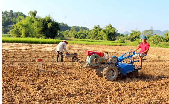 Tiếp tục thực hiện có hiệu quả các chính sách dân tộc