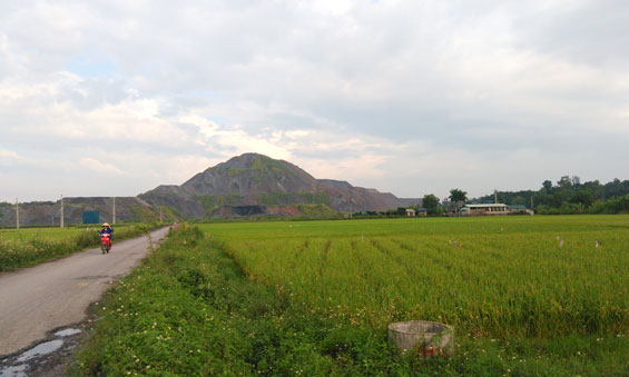 Cánh đồng xóm Ngò