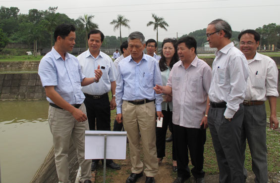 Đưa cây chè vào chương trình phát triển sản phẩm Quốc gia