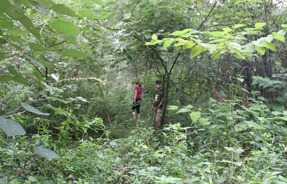 Phú Lương: Bé trai 13 tuổi bị 5 kẻ lạ mặt tấn công khi đi chăn trâu