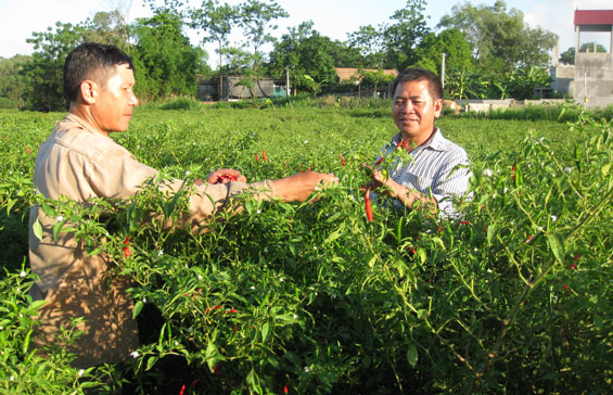 Người đảng viên năng động