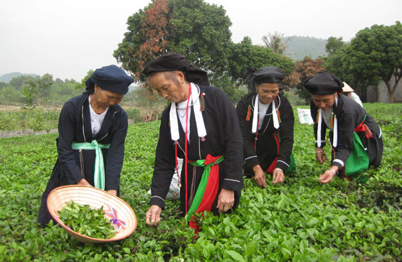 Từ những góc nhìn về miền núi, vùng cao: Hiện thực sinh động từ cuộc sống (Kỳ II)