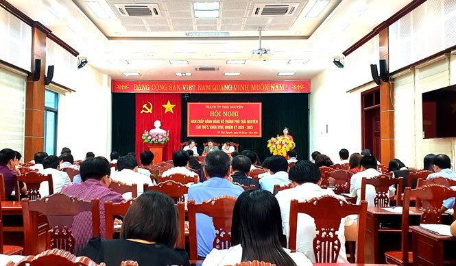 Tiếp tục lãnh đạo, chỉ đạo thực hiện hiệu quả nhiệm vụ chính trị