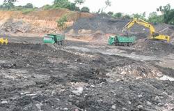 Chuẩn bị than cho các nhà máy nhiệt điện là việc rất cần thiết