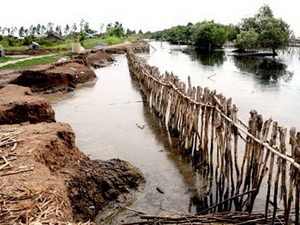 1.400 tỷ đồng mở rộng đê biển Tiền Giang