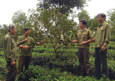 Chuyện của một thời khói lửa