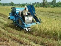 Ưu đãi, hỗ trợ DN đầu tư vào nông nghiệp, nông thôn