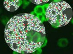 Dùng "bong bóng nano" tiêu diệt tế bào ung thư