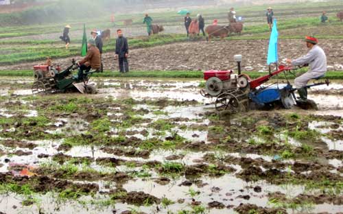 Sử dụng đất và những vấn đề đặt ra:  Bài 2: Làm gì để giữ “bờ xôi, ruộng mật”?