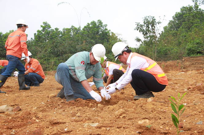 NuiPhao Mining: Hưởng ứng “Tết trồng cây, đời đời nhớ ơn Bác Hồ”