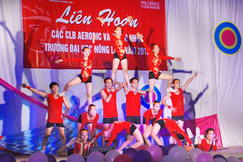 Liên hoan các Câu lạc bộ Aerobic và nhóm nhạc