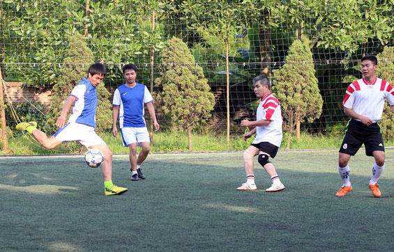  Ghi nhận từ các sân cỏ nhân tạo