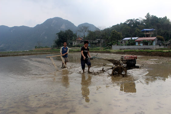 Dồn sức cho sản xuất vụ xuân