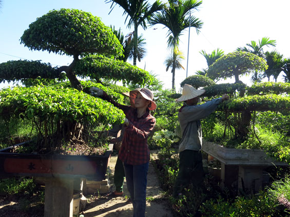 Đón nhận hai niềm vui lớn