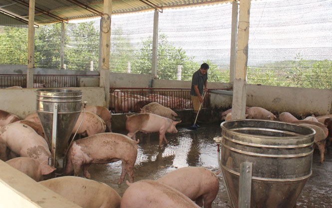 Dư nợ tín dụng tháng 7 giảm