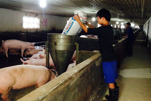 Lãi suất huy động giảm: Nguồn cung vẫn dồi dào