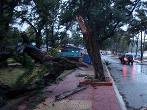 Bão số 1 cường độ mạnh đổ bộ gây nhiều thiệt hại