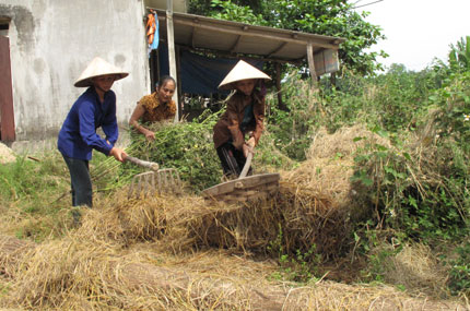 Phụ nữ tham gia bảo vệ môi trường nông thôn
