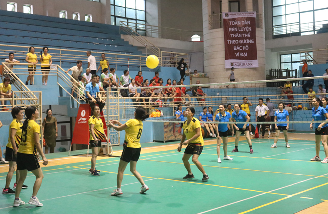 510 vận động viên tham gia Giải bóng chuyền hơi