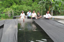 Thành công bước đầu từ mô hình nuôi cá hồi