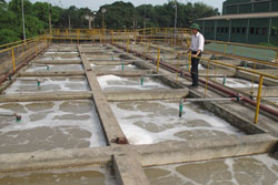 Nỗ lực để ra khỏi “Quyết định 64”