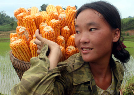 Một ngày trên bản người Mông Chòi Hồng