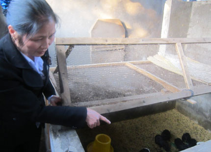 Phụ nữ Hoá Thượng làm kinh tế giỏi