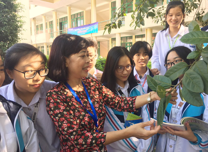 Chuyện về một cô giáo không tiếc nuối mơ ước thời tuổi trẻ