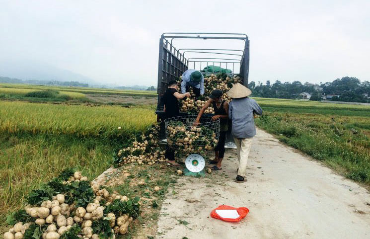Giải quyết đầu ra cho nông sản