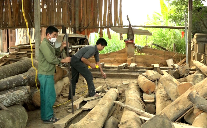 Liên kết để phát triển sản xuất