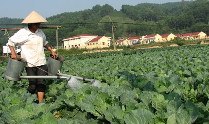 Hướng đi mới trong phát triển kinh tế ở Động Đạt