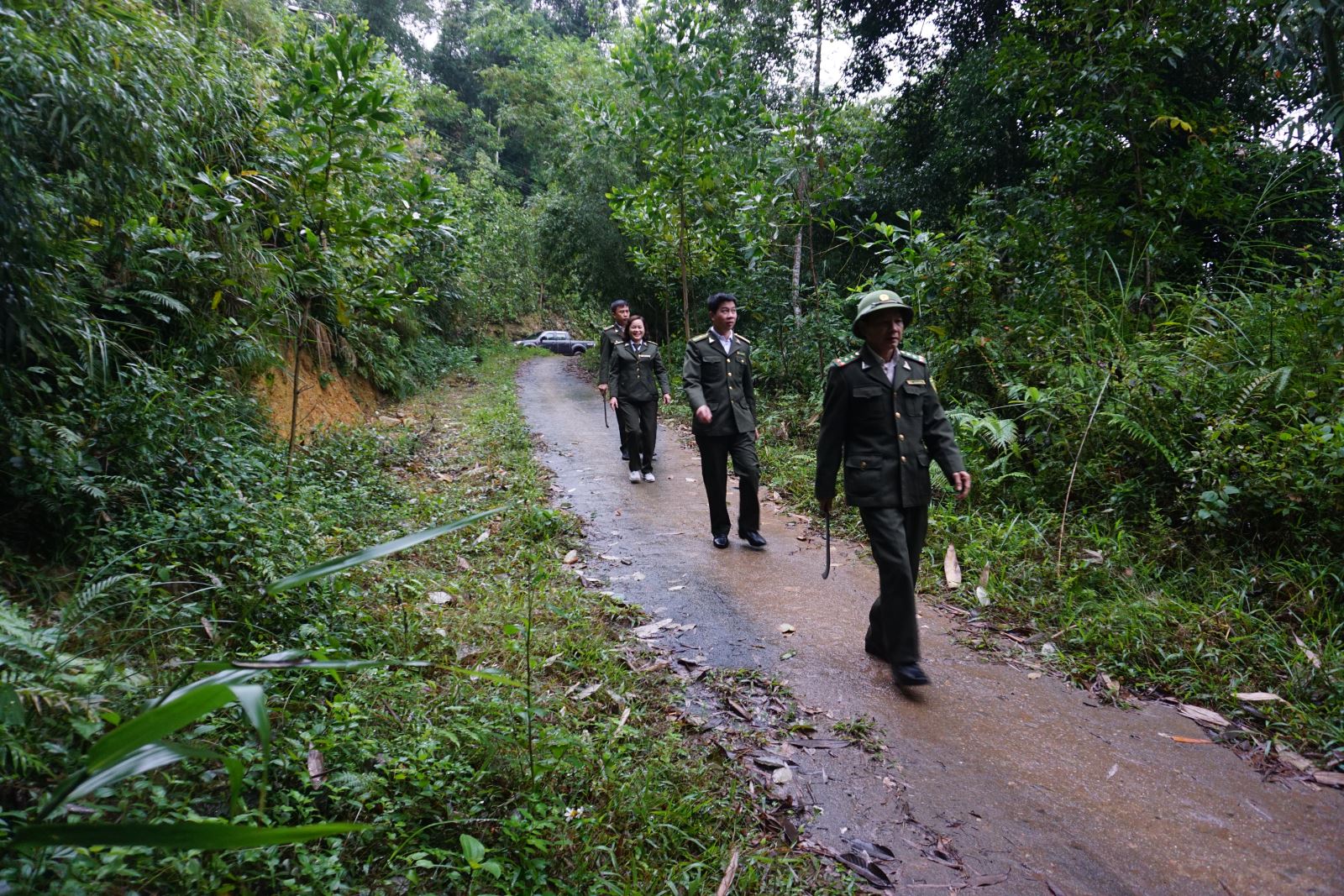 Đánh giá kết quả rà soát, điều chỉnh quy hoạch 3 loại rừng