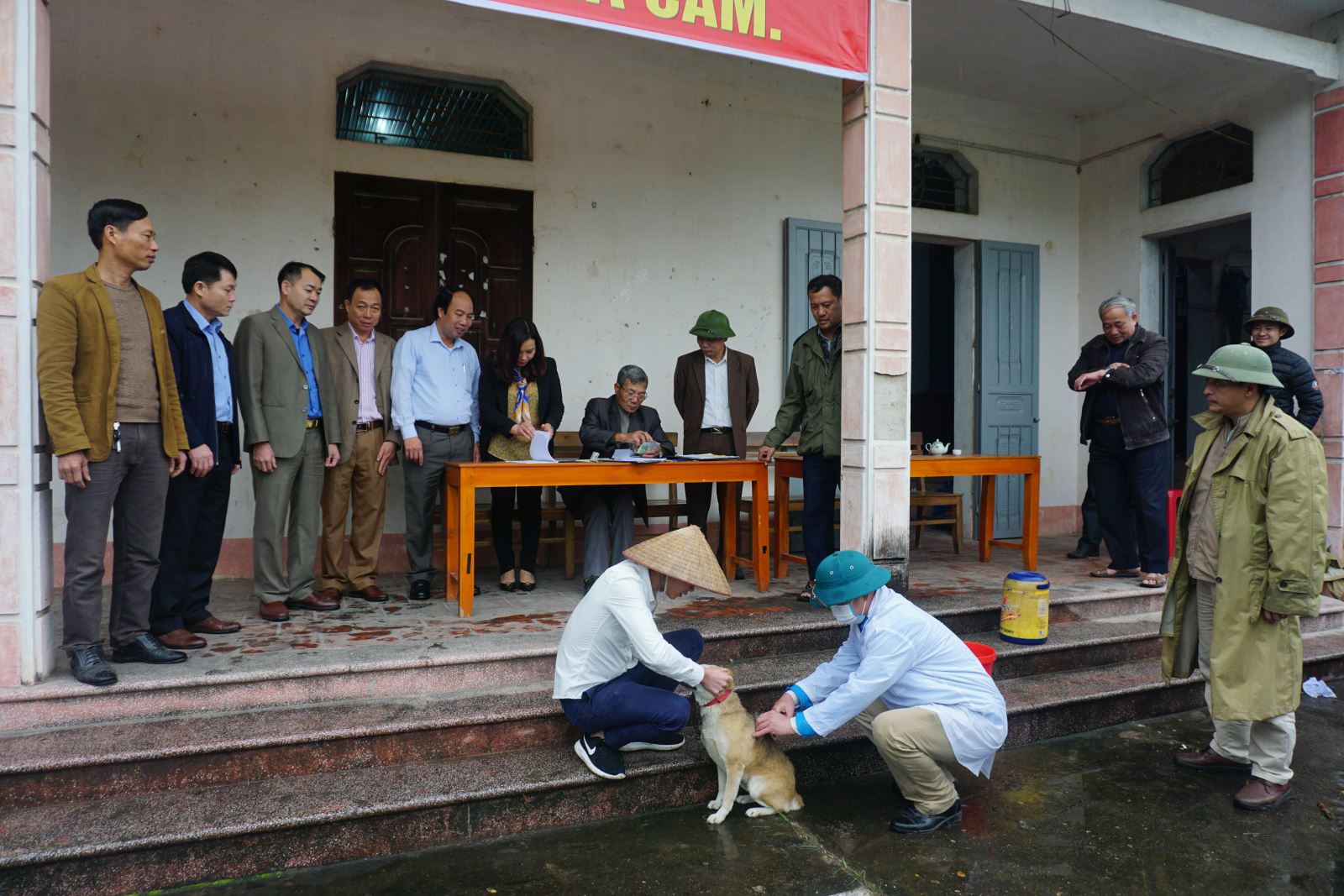 Phòng, chống bệnh dại: Đừng chủ quan