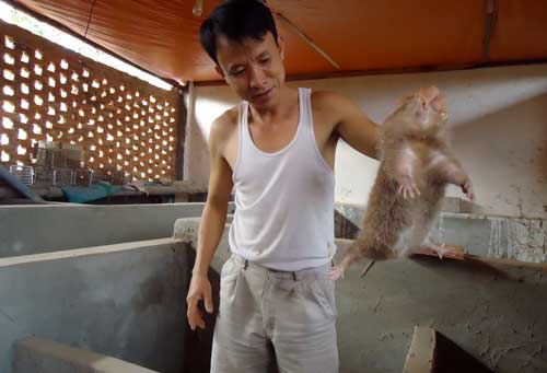 Phát triển kinh tế trang trại ở T.X Sông Công