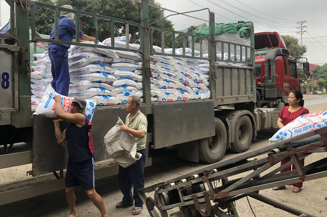 Đảm bảo chất lượng vật tư nông nghiệp