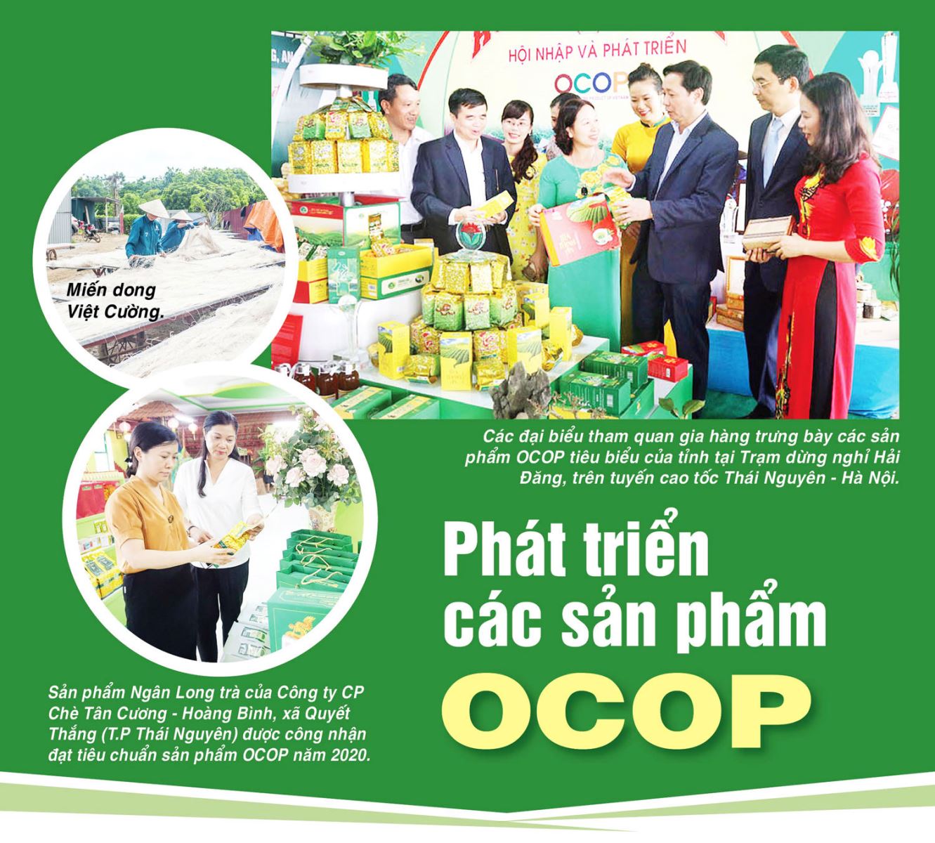 Phát triển các sản phẩm OCOP