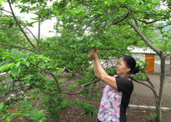 Hết lòng vì công việc