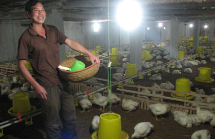 Cựu chiến binh giúp nhau làm kinh tế