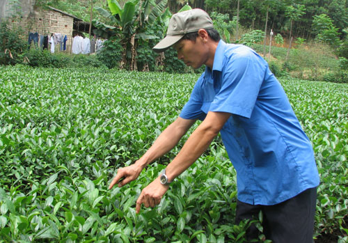 Đảng viên đi trước để dân tin, dân theo