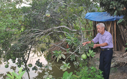 Ký ức hào hùng về thành cổ Quảng Trị