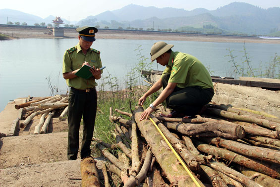 Rừng phòng hộ Núi Cốc bị tàn phá