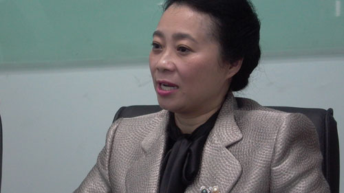 Chưa thể bác tư cách đại biểu của bà Đặng Thị Hoàng Yến