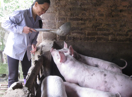 Cùng hội viên tháo gỡ khó khăn