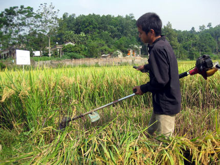 Vững vàng hướng tới mục tiêu phát triển bền vững